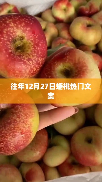 蟠桃盛宴倒计时，历年热门文案回顾