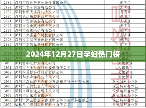 孕妇热门榜揭晓，孕妇健康与胎儿成长关注点（2024年12月27日）