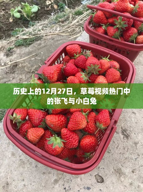 草莓视频热门张飞与小白兔，历史上的今天回顾