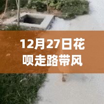 花呗走路带风上热门，网友热议引爆话题！