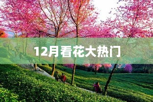 2025年1月2日 第3页