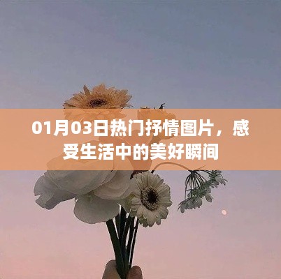 精选抒情图片，生活中的美好瞬间，感受无限魅力