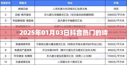 2025年1月 第171页