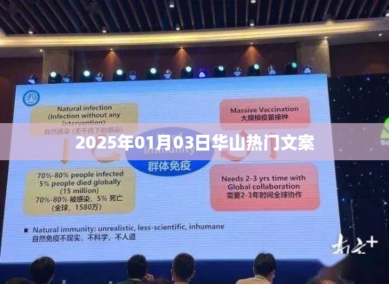 华山旅游热门文案揭晓，2025年元旦新体验