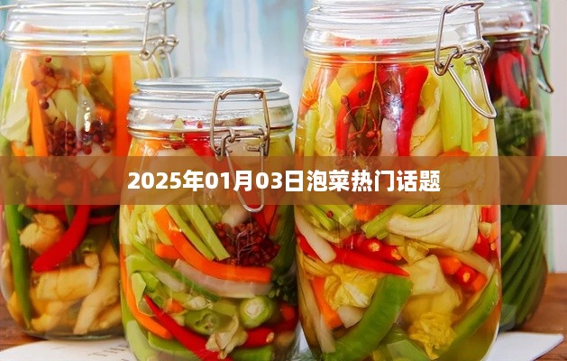 泡菜热议话题，聚焦2025年1月3日最新动态