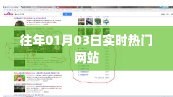 『实时热门网站动态更新，掌握最新资讯』