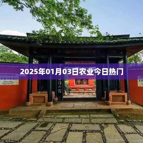 农业最新热点，聚焦2025年热门趋势