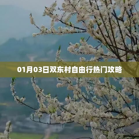 双东村自由行热门攻略，一日游攻略推荐