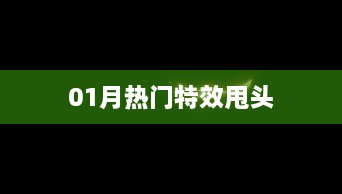 甩头特效风靡一月，引领潮流新风尚！