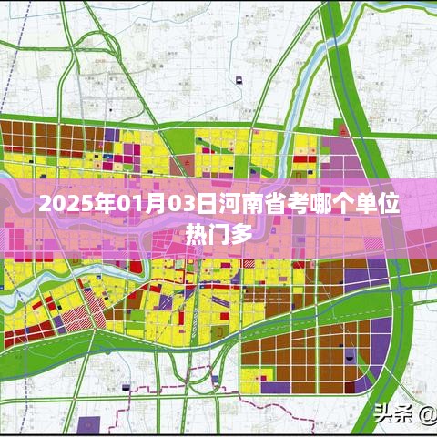 河南省考热门单位分析，揭秘2025年1月3日报考热点