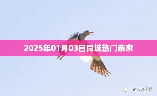 2025年同城热门亲家活动盛大开启