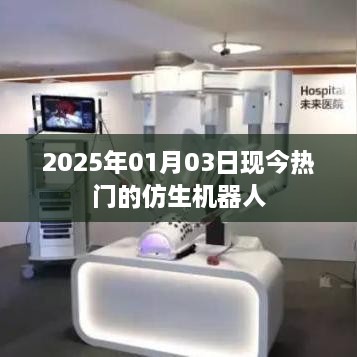 2025年热门仿生机器人技术概览