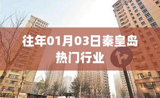 秦皇岛热门行业概览，历年一月初市场分析