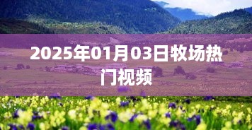 牧场热门视频盘点，2025年1月3日精彩瞬间回顾