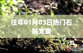 2025年1月 第119页