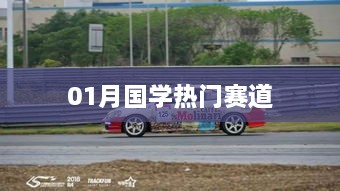 国学热门赛道一月份动态解析