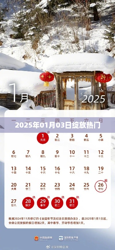 2025年元旦绽放热门盛典活动即将开启！