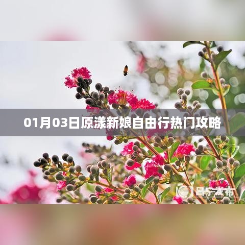 原漾新娘自由行，热门攻略，1月3日独家分享