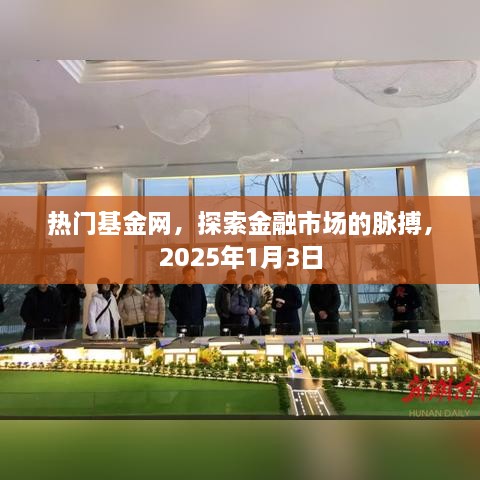 热门基金网探市场脉搏，2025年1月全新解读