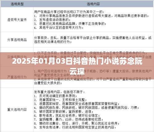 抖音热门小说苏念阮云琛剧情解析