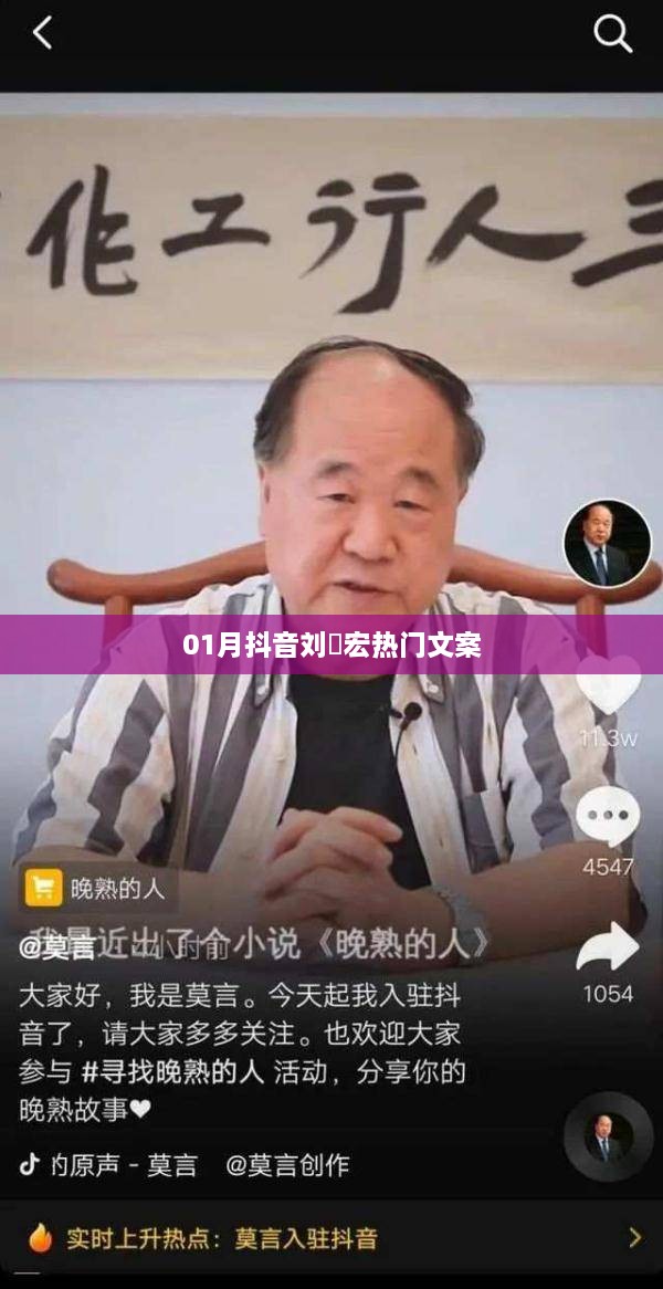 抖音刘畊宏一月热门文案解析