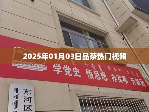 『2025年品茶热潮，热门视频一览』