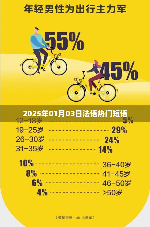 『2025年法语流行短语一网打尽』