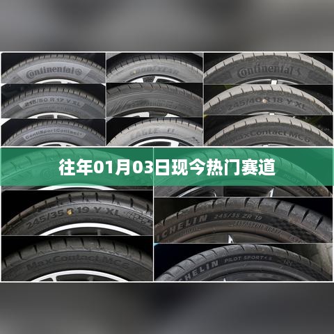 历年热门赛道回顾，今日焦点赛道概览