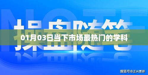 当下市场最热门学科，最新趋势解析