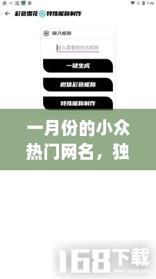 一月份独特热门网名推荐，风格启示与选择