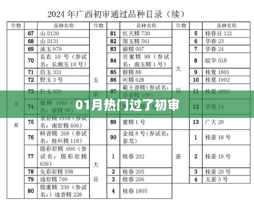 01月热门事件，通过初审的热点解析