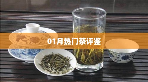 最新热门茶品鉴报告，一月精选推荐