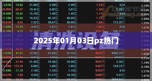 2025年1月3日PZ热点概览