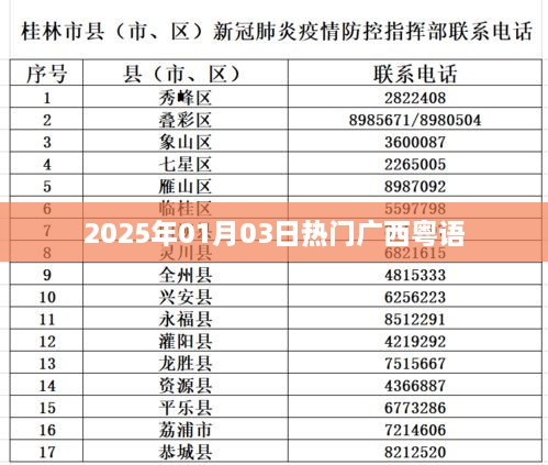 广西粤语热门资讯，2025年元旦记事