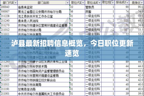 泸县最新招聘信息概览，今日职位更新速览