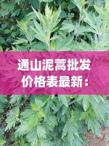 通山泥蒿批发价格表最新：蔡甸泥蒿 