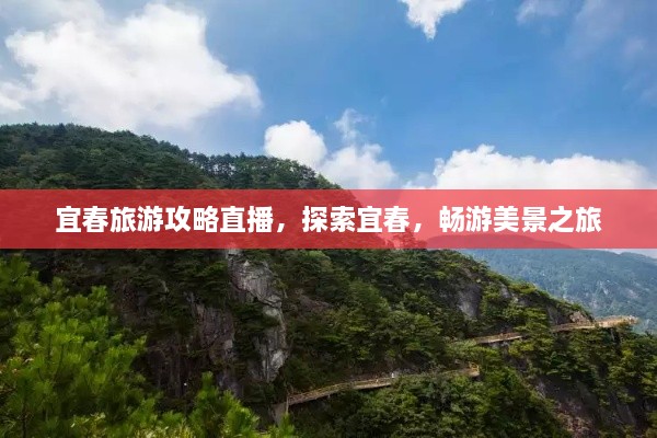 宜春旅游攻略直播，探索宜春，畅游美景之旅