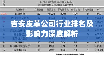 吉安皮革公司行业排名及影响力深度解析