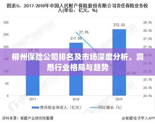 柳州保险公司排名及市场深度分析，洞悉行业格局与趋势