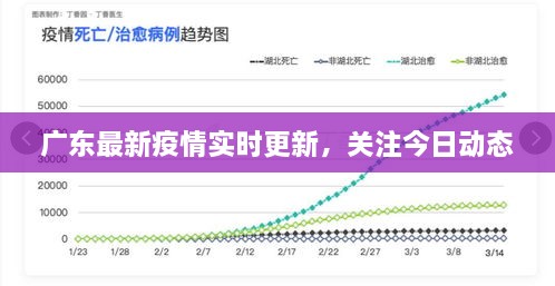 广东最新疫情实时更新，关注今日动态