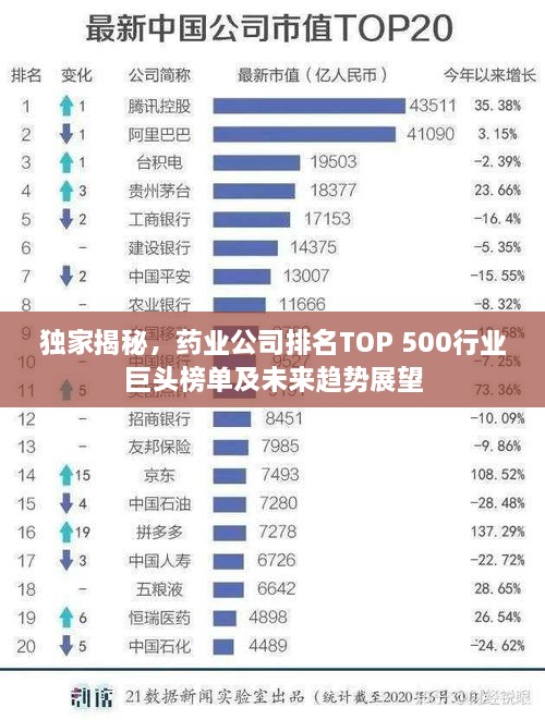 独家揭秘，药业公司排名TOP 500行业巨头榜单及未来趋势展望