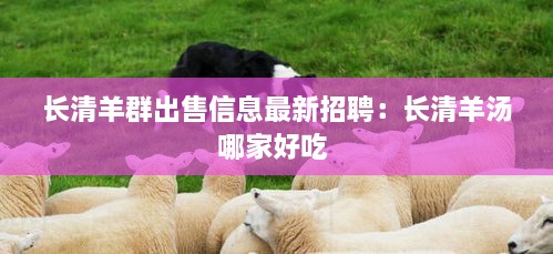 长清羊群出售信息最新招聘：长清羊汤哪家好吃 