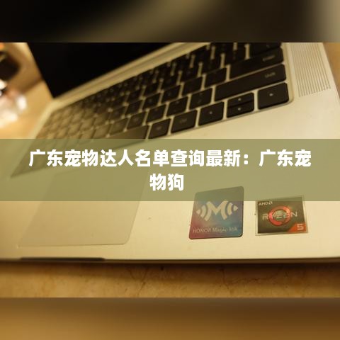 广东宠物达人名单查询最新：广东宠物狗 