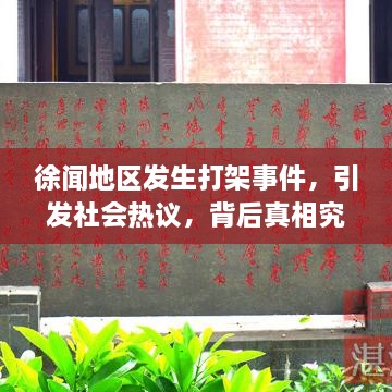 徐闻地区发生打架事件，引发社会热议，背后真相究竟如何？