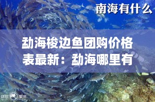 勐海梭边鱼团购价格表最新：勐海哪里有吃鱼的地方 