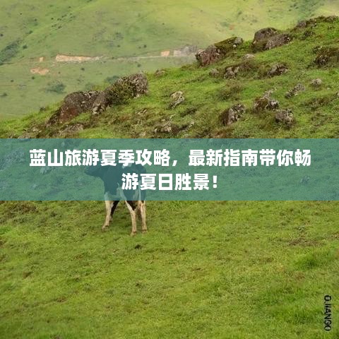 蓝山旅游夏季攻略，最新指南带你畅游夏日胜景！