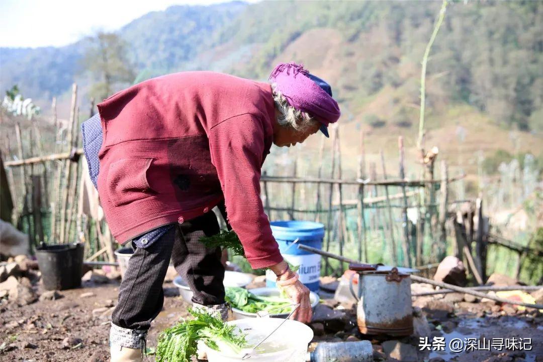 西宁光伏太阳能养蜂，绿色能源与生态农业的和谐共生之道