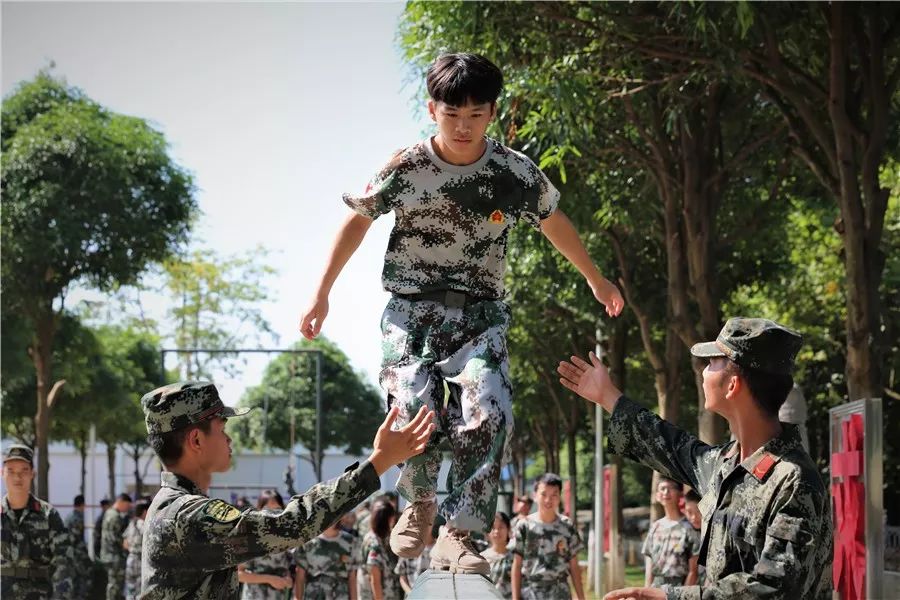 商洛武警支队最新照片，展现英勇形象与时代风采的壮丽瞬间