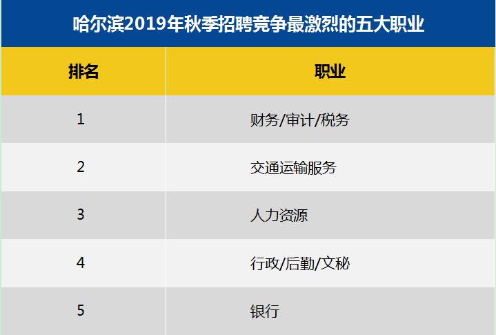 哈市人才市场最新招聘动态深度解析及招聘资讯汇总