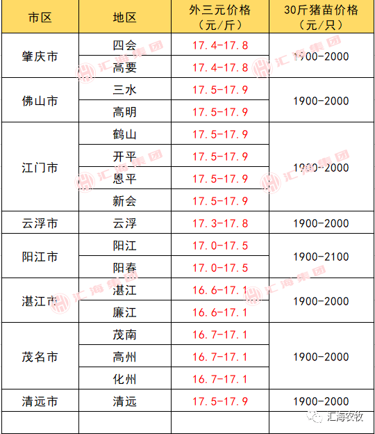 今日毛鸭最新价格及动态分析概览